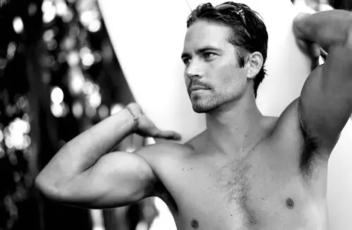 Paul Walker Wall Poster picture 16998
