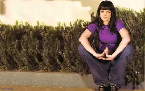 Pauley Perrette Wall Poster picture 305903