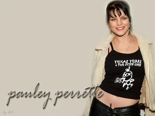 Pauley Perrette Computer MousePad picture 78979
