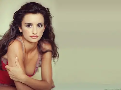 Penelope Cruz Wall Poster picture 17080