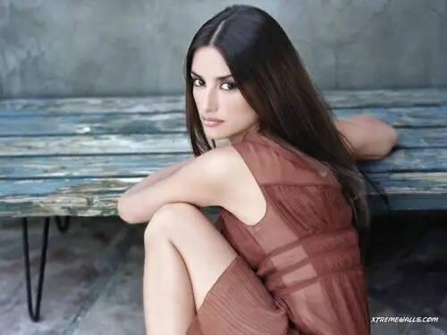 Penelope Cruz Wall Poster picture 17088