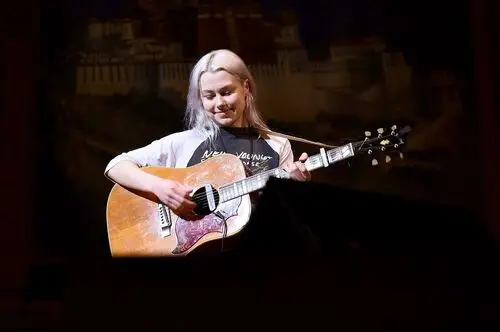Phoebe Bridgers Wall Poster picture 941250