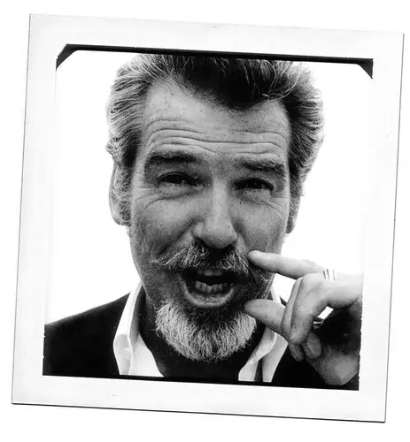 Pierce Brosnan Wall Poster picture 480813