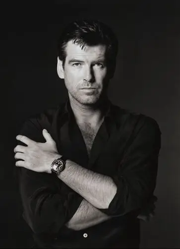 Pierce Brosnan Wall Poster picture 483804