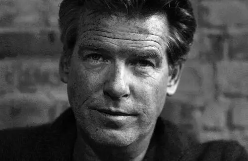 Pierce Brosnan Wall Poster picture 495322
