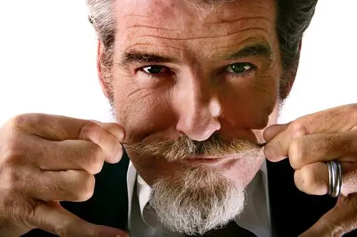 Pierce Brosnan Wall Poster picture 496531