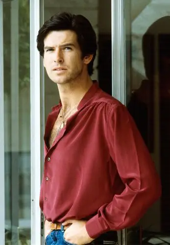 Pierce Brosnan Wall Poster picture 504426