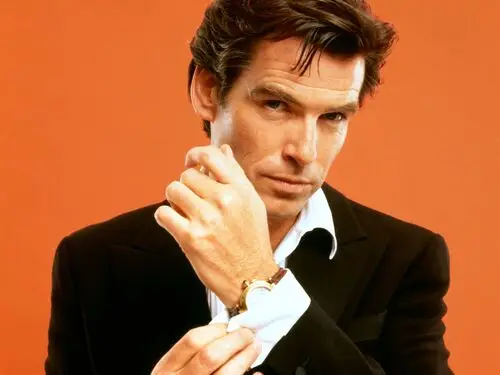 Pierce Brosnan Wall Poster picture 52804
