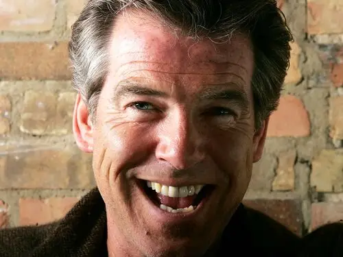 Pierce Brosnan Wall Poster picture 52816