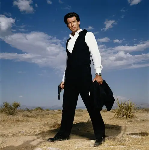 Pierce Brosnan Wall Poster picture 794662