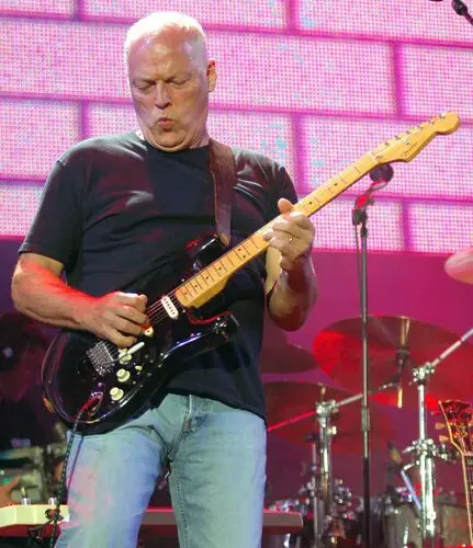 Pink Floyd Women's Colored  Long Sleeve T-Shirt - idPoster.com