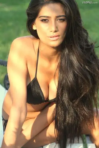 Poonam Pandey Jigsaw Puzzle picture 219022