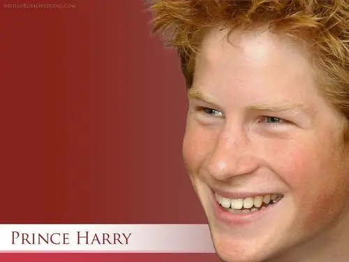 Prince Harry Wall Poster picture 305954
