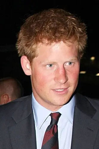 Prince Harry Wall Poster picture 89762
