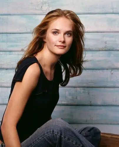 Rachel Blanchard Wall Poster picture 378559