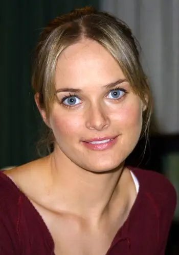 Rachel Blanchard Wall Poster picture 378588