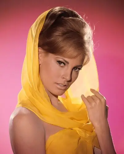 Raquel Welch Wall Poster picture 503390