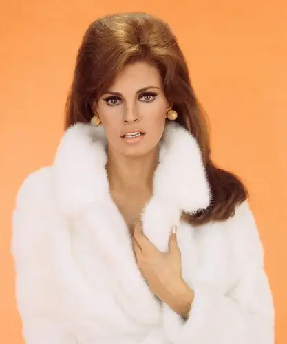 Raquel Welch Wall Poster picture 503394