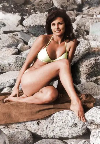 Raquel Welch Wall Poster picture 503405