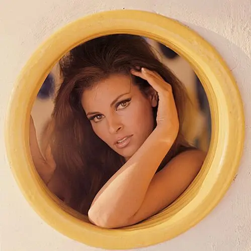 Raquel Welch Wall Poster picture 503408