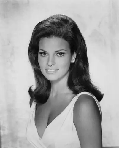 Raquel Welch Wall Poster picture 503420