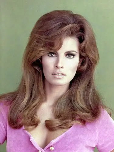 Raquel Welch Wall Poster picture 503430