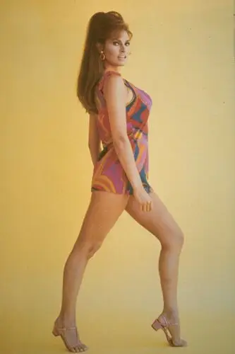 Raquel Welch Wall Poster picture 503431