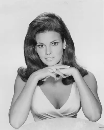 Raquel Welch Jigsaw Puzzle picture 503449