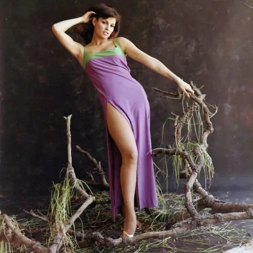 Raquel Welch Wall Poster picture 503451