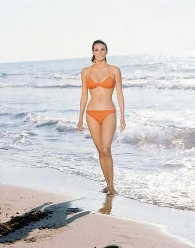 Raquel Welch Jigsaw Puzzle picture 503475