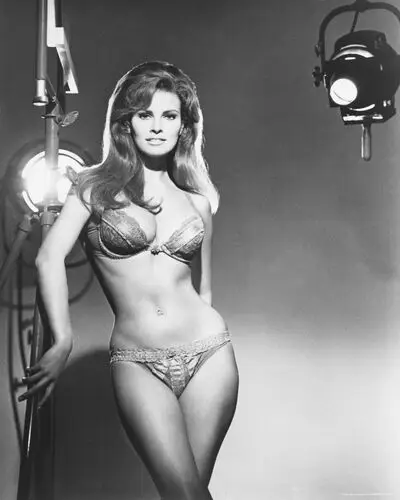 Raquel Welch Jigsaw Puzzle picture 503551