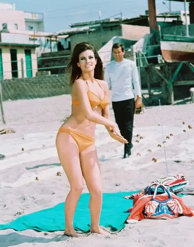 Raquel Welch Jigsaw Puzzle picture 503553