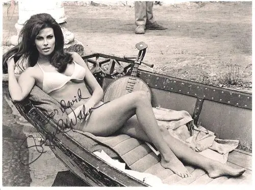 Raquel Welch Wall Poster picture 79822