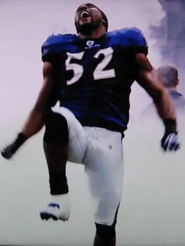 Ray Lewis Wall Poster picture 58459