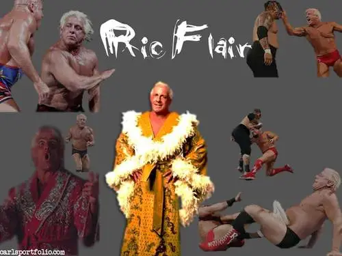 Ric Flair Computer MousePad picture 102706
