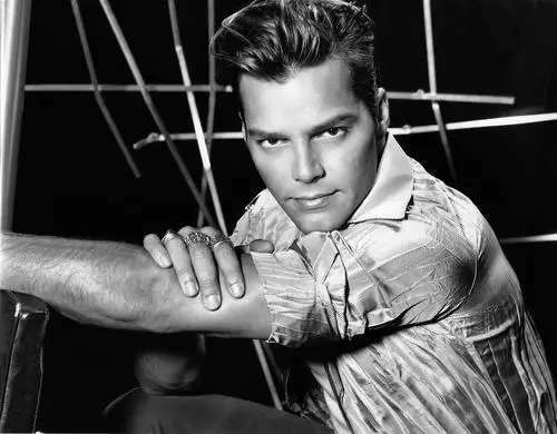 Ricky Martin Wall Poster picture 17653