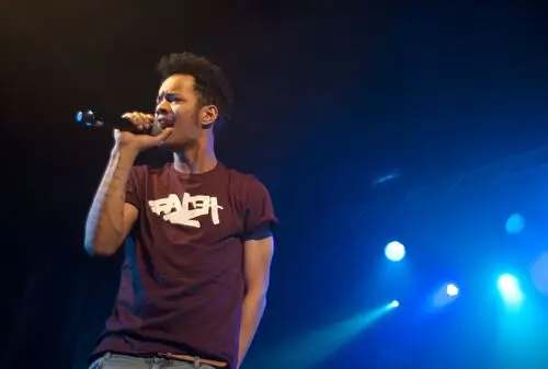 Rizzle Kicks Wall Poster picture 238268