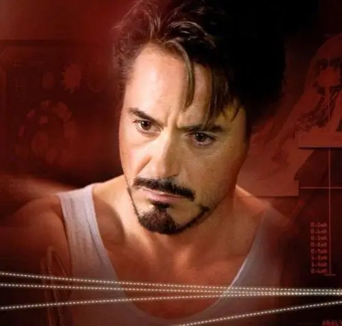 Robert Downey Jr Wall Poster picture 111977