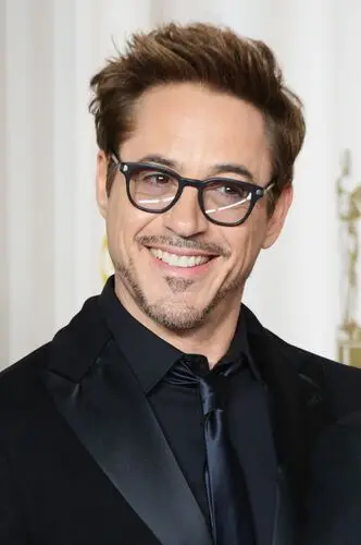 Robert Downey Jr Wall Poster picture 239376