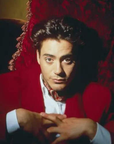Robert Downey Jr Wall Poster picture 521239