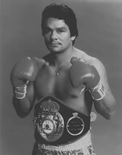 Roberto Duran Wall Poster picture 239709