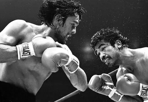 Roberto Duran Wall Poster picture 239718