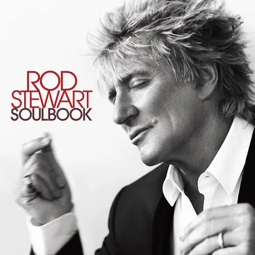 Rod Stewart Jigsaw Puzzle picture 77617