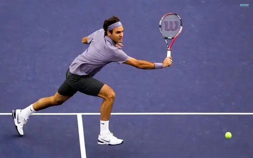 Roger Federer Fridge Magnet picture 162908