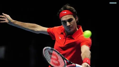 Roger Federer Jigsaw Puzzle picture 162916