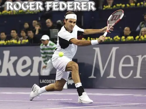 Roger Federer Fridge Magnet picture 163032