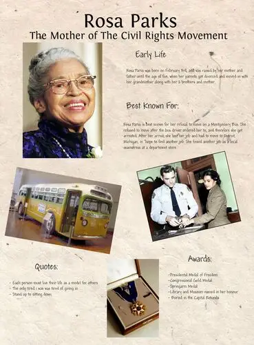 Rosa Parks White T-Shirt - idPoster.com