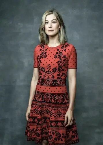 Rosamund Pike Jigsaw Puzzle picture 866458