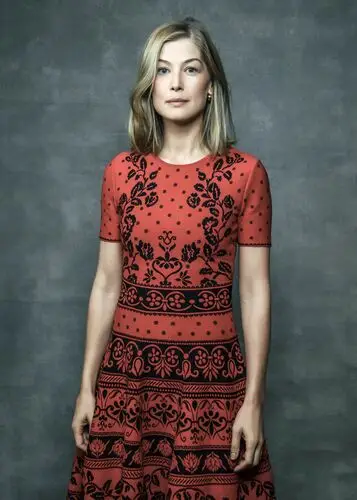 Rosamund Pike Jigsaw Puzzle picture 866459