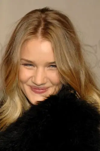 Rosie Huntington-Whiteley Jigsaw Puzzle picture 110329